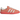 Product Image Adidas Bermuda Wonder Clay