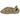 Product Image Yeezy Foam RNNR Stone Sage