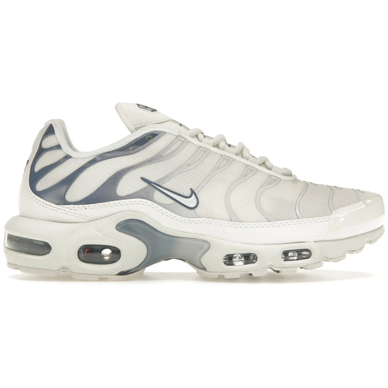 Nike Air Max Plus Ashen Slate